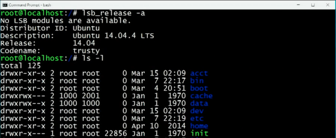 1_windows_ubuntu_lsb_release