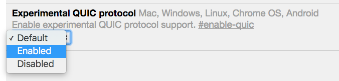 chrome_quic_support_setting